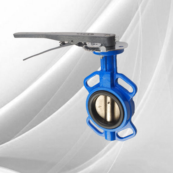 Lug_Type_Butterfly_Valve