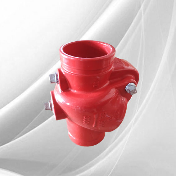 Grooved_End_Check_Valves