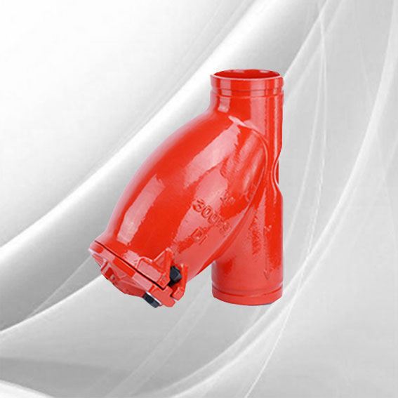 Grooved_End_Strainer